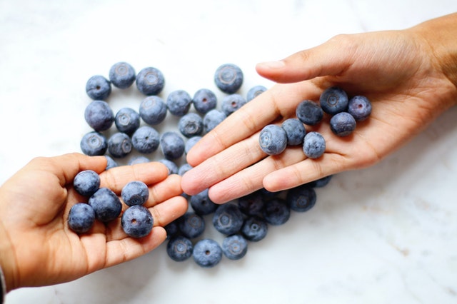 borówka amerykańska